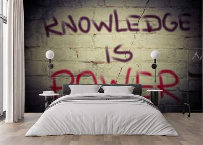 Knowledge Is Power Concept Wall mural