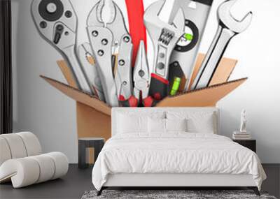 Many Tools in box Wall mural