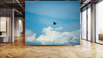 A bird flying in the blue sky Wall mural