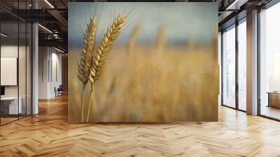 A close-up view of two wheat stalks against a blurry background of a wheat field. Wall mural