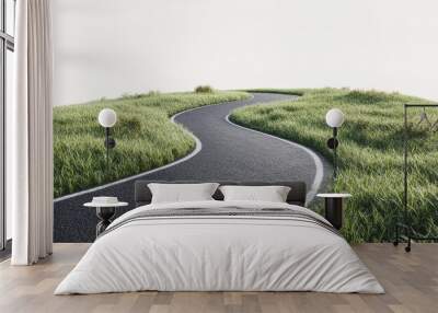 A winding asphalt road with white lines runs through a field of lush green grass. Wall mural