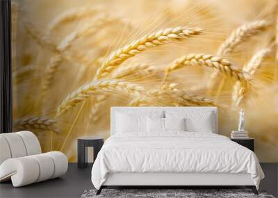 Close-up of golden wheat stalks, blurred background. Wall mural