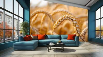 Close up of golden wheat stalks in a field. Wall mural