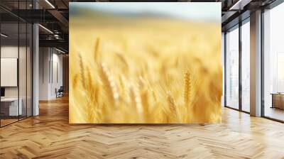 Close-up of golden wheat stalks with a blurred background. Wall mural