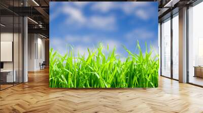 Green grass blades in front of a blue sky with white clouds. Wall mural