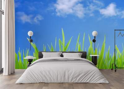 Green grass blades reaching up against a blue sky with white clouds. Wall mural