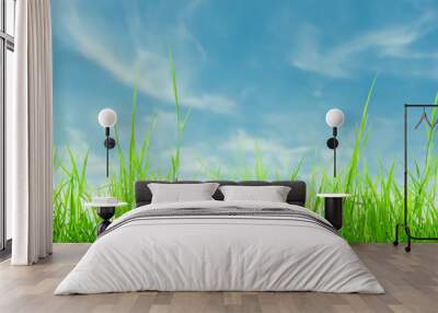 Lush green grass blades against a bright blue sky with white clouds. Wall mural