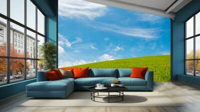 Lush green grass field under a blue sky with white wispy clouds. Wall mural