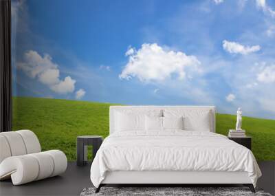 Lush green grassy field against a bright blue sky with white clouds. Wall mural