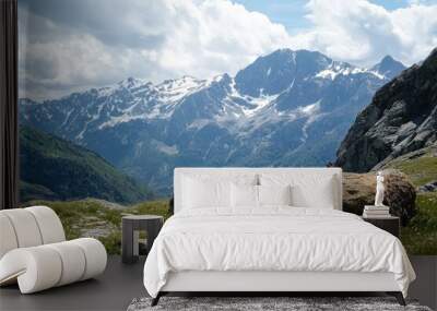 Two large rocks sit in a field of green grass and wildflowers in front of a mountain range with snow on the peaks. Wall mural