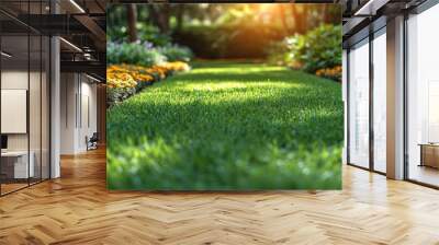 Green grass in the garden with sunlight. Nature and environment concept. Wall mural