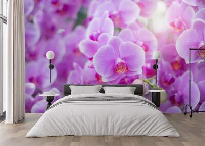 Close up of beautiful orchid flower in tropical garden, spring time season. Wall mural