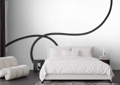 black wire isolated on a white background abstraction. Wall mural