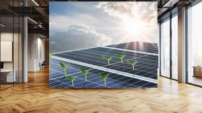 Solar panels or Solar cell in with orange sky and green plant. Alternative electricity source and energy concept Wall mural