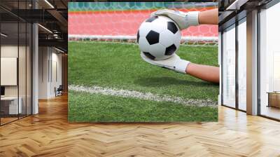 goalkeeper's hands catching soccer ball over the line of goal wi Wall mural