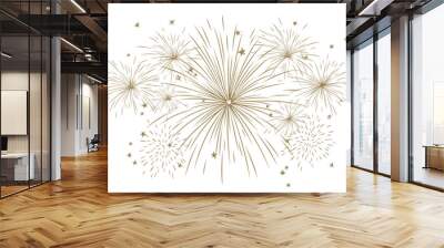 firework isolated on transparent background vector design illustration Wall mural