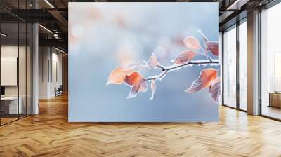 frozen branch with autumn leaves autumn winter background Wall mural