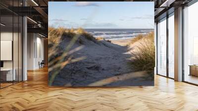 Sand dunes with sand ryegrass on the Danish west-coast Henne Beach Wall mural