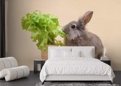 a small cute gray rabbit sits and eats lettuce in a wooden pot on a beige background. studio shot, copy space. healthy food, animal feeding Wall mural