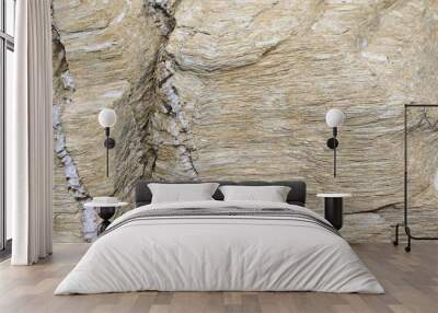 Background texture of rough cliff rock wall Wall mural