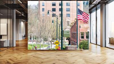 Asheville, USA - April 19, 2018: Buildings, courthouse and green Pack Square Park in North Carolina NC famous town, city in the mountains, sign, flag Wall mural