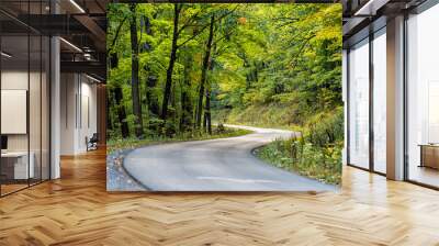 Autumn fall season green tree forest in West Virginia with winding steep paved road to Spruce Knob lake, overlooks and hiking trails with nobody landscape car pov Wall mural