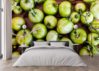 Flat top above view down of many small unripe green tomatoes on vine from garden on table Wall mural