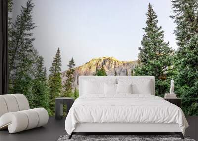 Low angle view of pine trees on trail to Ice lake in Silverton, Colorado in August 2019 summer morning sunrise Wall mural