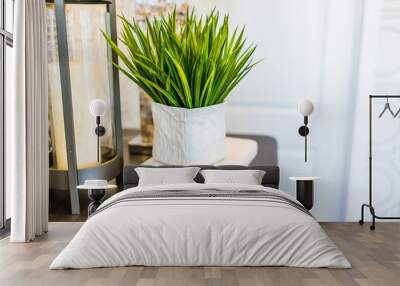 Modern space with plant on books on table in room Wall mural