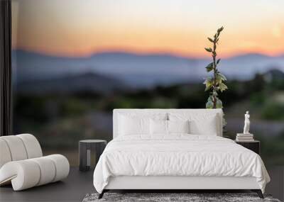 New Mexico Yucca plant flowers closeup view in La Luz with sunset and view of Organ Mountains and White Sands Dunes National Monument Wall mural