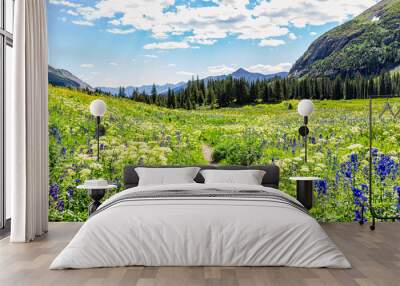 Open landscape view of green wildflowers meadow and footpath trail to Ice lake near Silverton, Colorado in August 2019 summer Wall mural