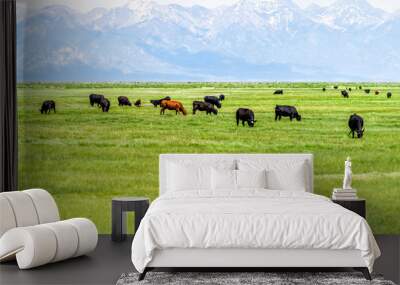 Southwest Colorado Highway 285 with rural countryside farm pasture and cows near Center and Monte Vista and view of Rocky Mountains Wall mural