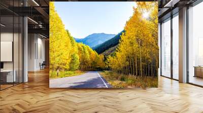 Sunburst through forest in Aspen, Colorado maroon bells mountains in October 2019 and vibrant trees foliage autumn and sky along road Wall mural