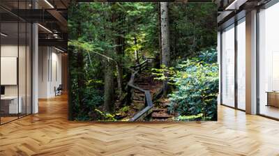 Vertical view on wooden boardwalk steps stairs hiking trail to Falls of Hills Creek waterfall in Monongahela national forest at Allegheny mountains, West Virginia Wall mural