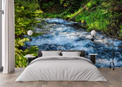 West Maroon creek river blue color water near Maroon bells lake in Aspen, Colorado with closeup of white water flowing in summer by forest of lush green foliage Wall mural