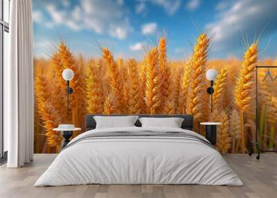 Yellow wheat field and blue sky Wall mural