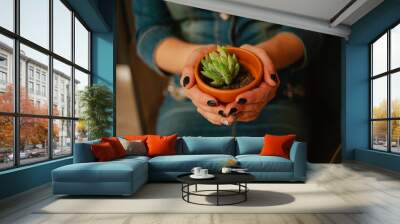 female hands close-up holding pot with plant succulent Wall mural