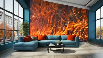 fire in the fireplace Wall mural