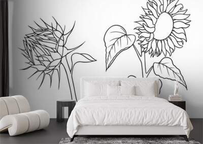 Vector sunflower illustrations set in line art style. Graphic monochrome drawing. Hand drawn floral outline sketch, engraved illustration. Design element for coloring book, tattoo, logo, icon, label. Wall mural