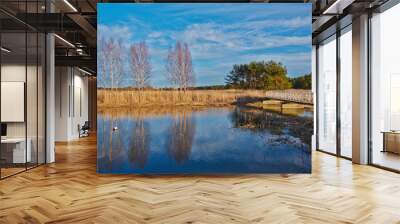 Early spring, bare trees on the shore of a calm river Wall mural