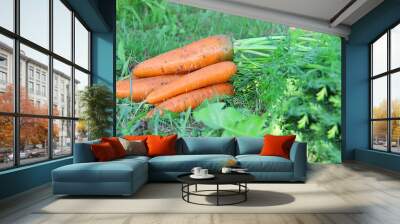 bunch of carrots Wall mural