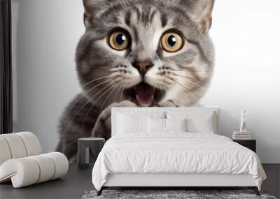 Surprised cat covering its mouth with paws, no background/transparent background Wall mural