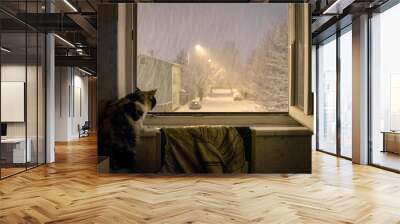 The cat watched the window the night before the first snowfall Wall mural