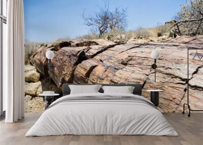 Close-up shot of petrified tree trunk at petrified forest in Namibia Wall mural