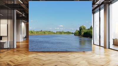 View on river Scheldt with green natural borders from a boat in Schellebelle, Flanders, Belgium  Wall mural