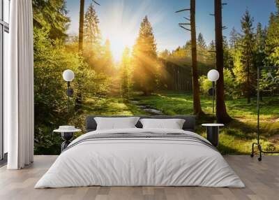 beautiful forest panorama with brook and bright sun shining through the trees Wall mural