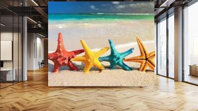 colorful starfish on the beach in summer Wall mural