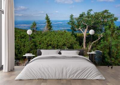 Tree and stones, view in Giant Mountains national park, Poland Wall mural