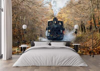 black steam locomotive smoke in the forest Wall mural