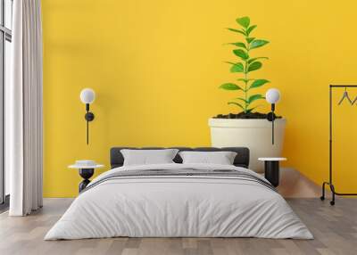 Person holding a potted plant with green leaves against a bright yellow background, symbolizing growth and sustainability. Minimalistic design. Wall mural